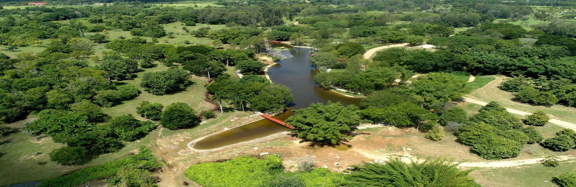 Jardin botanique national de la Havane, Cuba Travel